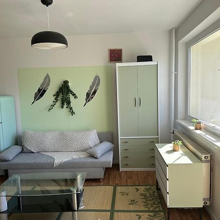 Ruhige Sonnige 1,5 Zimmer Wohnung Erfurt Dış mekan fotoğraf
